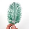 10Pcs Natural White Ostrich Feathers 10-15cm 15-20cm 25-30cm 30-35cm Wedding Party Home Decoration Ostrich Plumes Craft Supplies