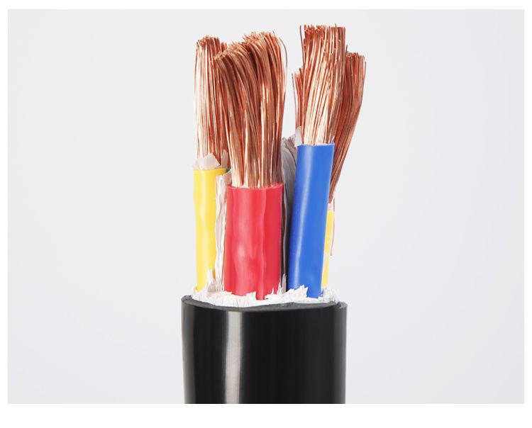 Chint RVV Copper Core Sheathed Wire, Soft 2-5 Core, 10-50 Sq. Wire