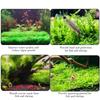 Accessories Non-rust Wire Mesh Pad Aquarium Plant Net Water Grass Pad Moss Plants Fixing Holder