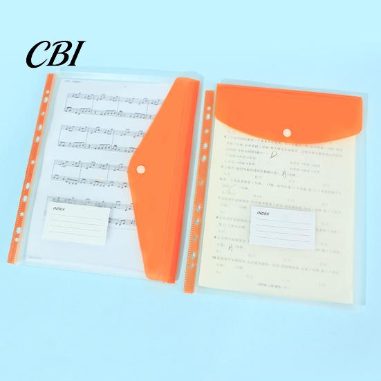 Binder Compatible Folder 11 Hole Clear File for A4 Binders, Colorful Plastic Document with Bag Snap Button & Label Slot, Transparent Project Organizer