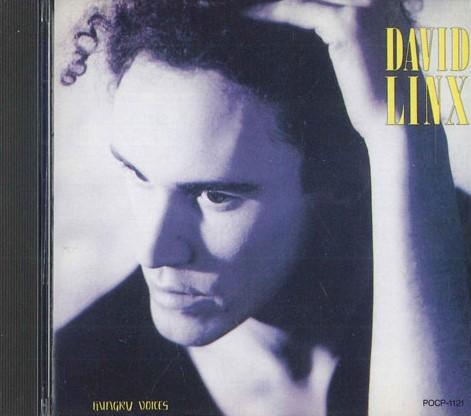 

CD DAVID LINX - Here We ARE POCP1121PROMO POLYDOR 1991 Japan Obi Pop Used