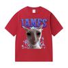 James IAMES Funny Cat Meme Tshirts Stupid Joke Gifts Cat Lover short sleeve tshirt Unisex Women fashion Oversized Cotton T Shirts