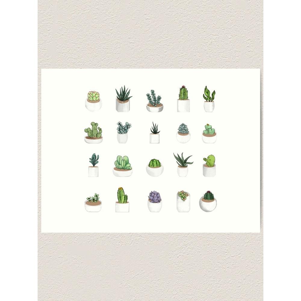 

Tapestry photographic succulents 75x100 чорний
