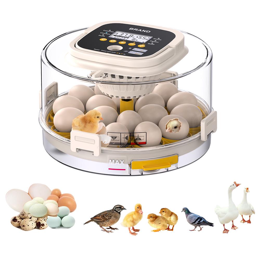 

Smart Egg Incubator: Fully Automatic for Pigeon, Quail, Chicken, and Duck Eggs