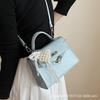 Foreign order fashion temperament portable small bag women 2025 new high-end texture versatile messenger bag commuter shoulder bag