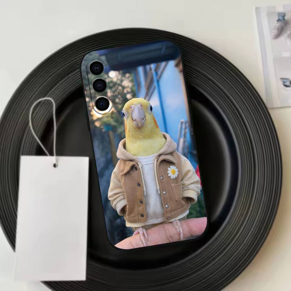 Chubby C-Cockatiel Phone Case For Samsung Galaxy A73,A72,A71,A70,A53,A52,A51,Soft Silicone Black Cover Samsung a53 5g