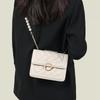 Premium bag women's niche new trendy fashion solid color messenger bag versatile trend style shoulder chain bag