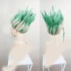 HAIRJOY Anime Dr.Stone Ishigami Senkuu Cosplay Wig Short Green Mix Synthetic  Hair