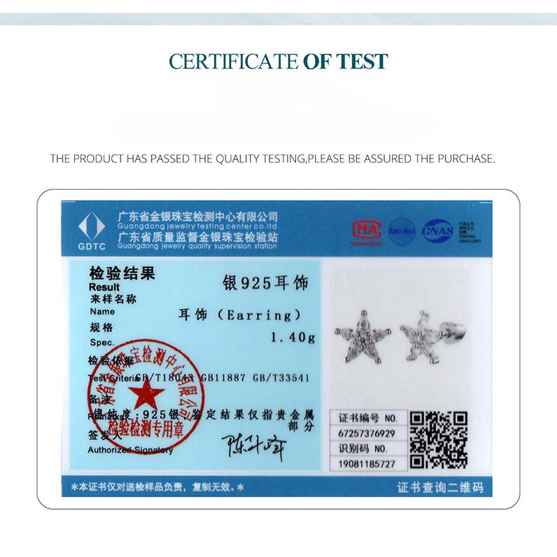 Funkelnde Zirkon-Blumen-Ohrstecker Damen Exquisite Blume S925 Sterlingsilber Gewinde-Ohrstecker