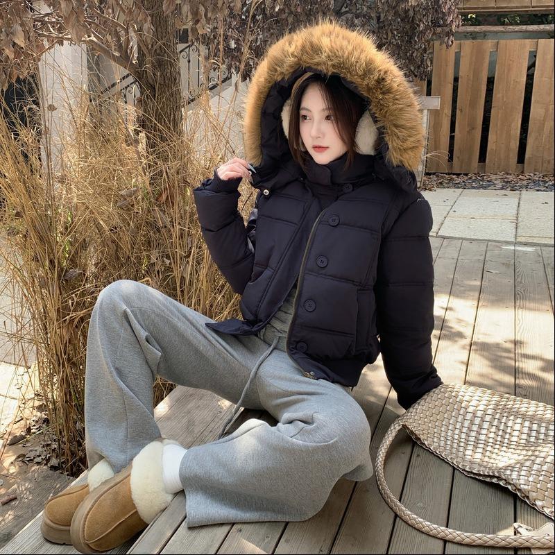 Winter new hooded cotton-padded clothes, cotton-padded clothes are thin and simple, big fur collar short coat women