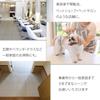 Yamazaki Sangyo Broom Rubber 45cm Wide 1 Handle Drainer Body Wastewater Removal Watering Veranda Entrance Squeegee Wiper Rubber Pet Dog Cat Hair Water