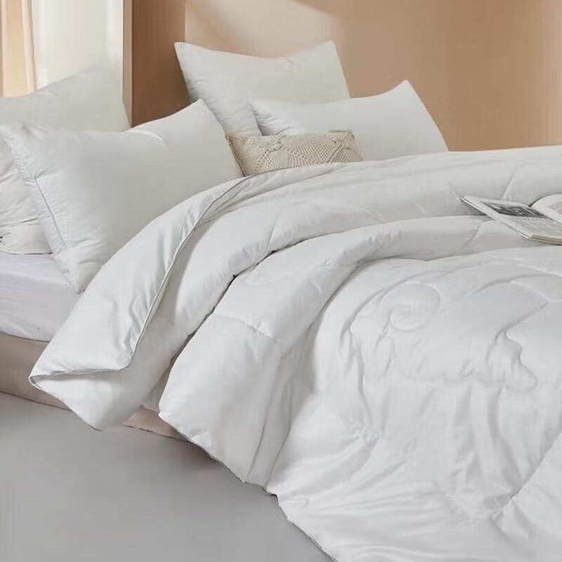 

All-Season Polyester Fiber Quilt