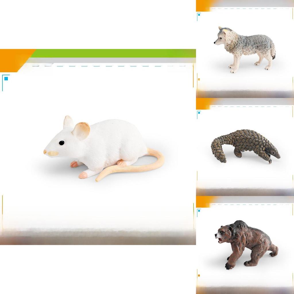 Bären Kinder Wildtier Sammlung PVC Figuren mit realistischem Design zum Lernen und Dekorieren