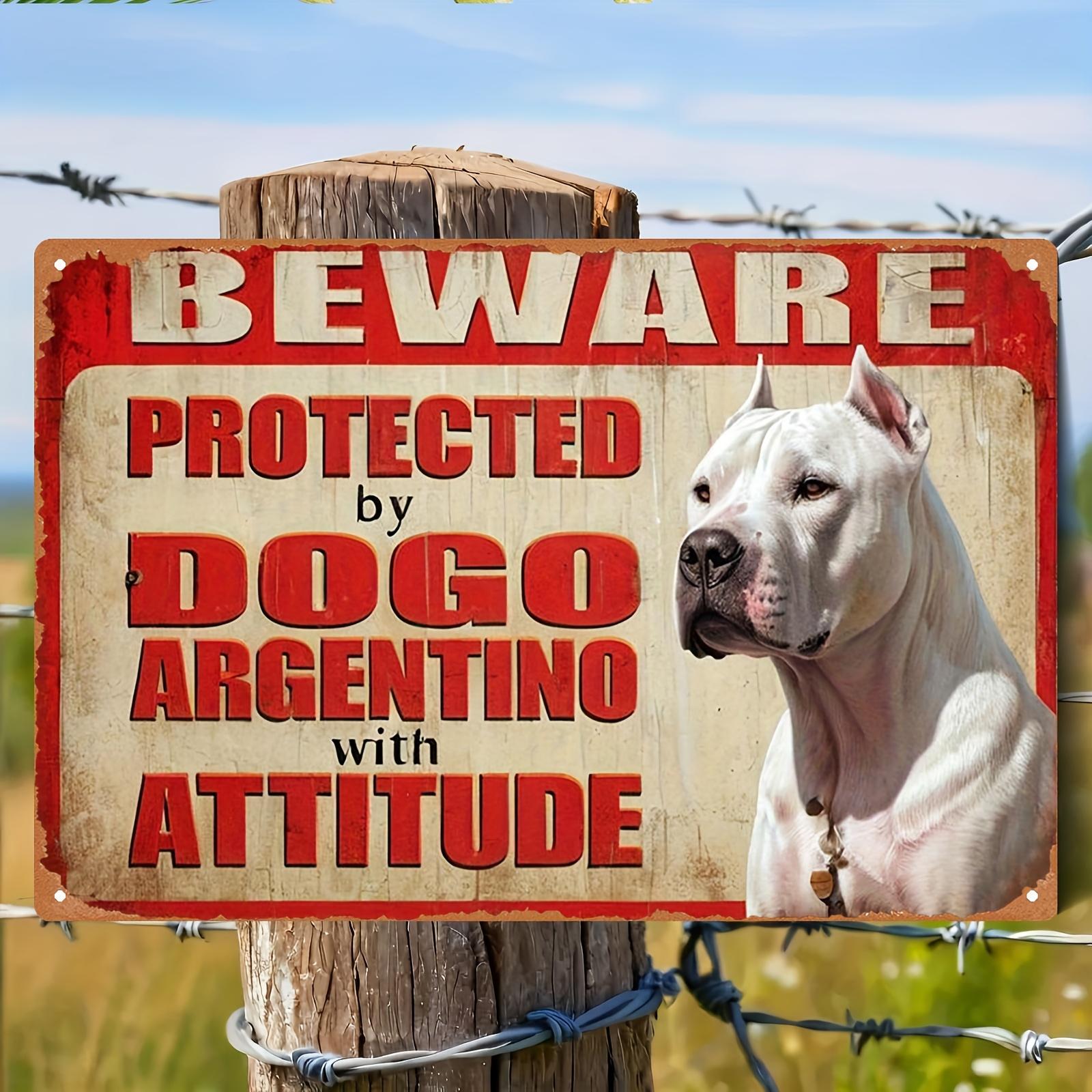 

2D Flat - 1pc Vintage Metal Sign Plaque - 8x12 Inch, Beware Protected by Dogo Argentina with Attitude Humorous Design, Rustic 20X30CM
