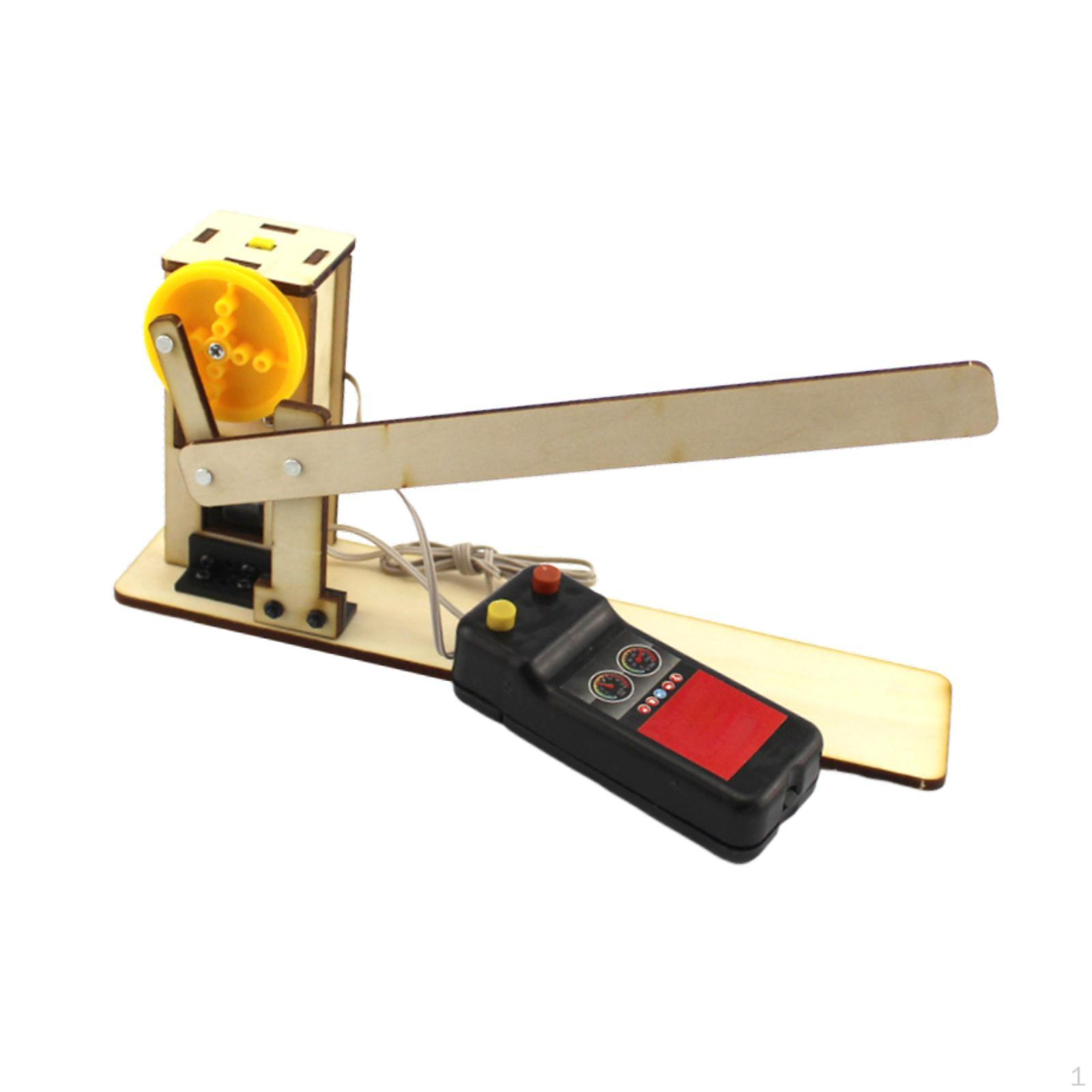 

Wooden Gate Model 3D Puzzles Physics Kit Interactive DIY Assembly Lift Educational