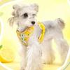 Adjustable Dog Harness Leash Set Escape-Proof Pet Walking Rope Dog Chest Strap  Pet Accessories