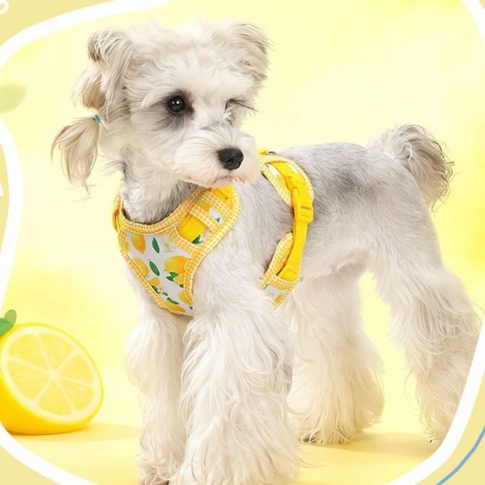 Adjustable Dog Harness Leash Set Escape-Proof Pet Walking Rope Dog Chest Strap  Pet Accessories