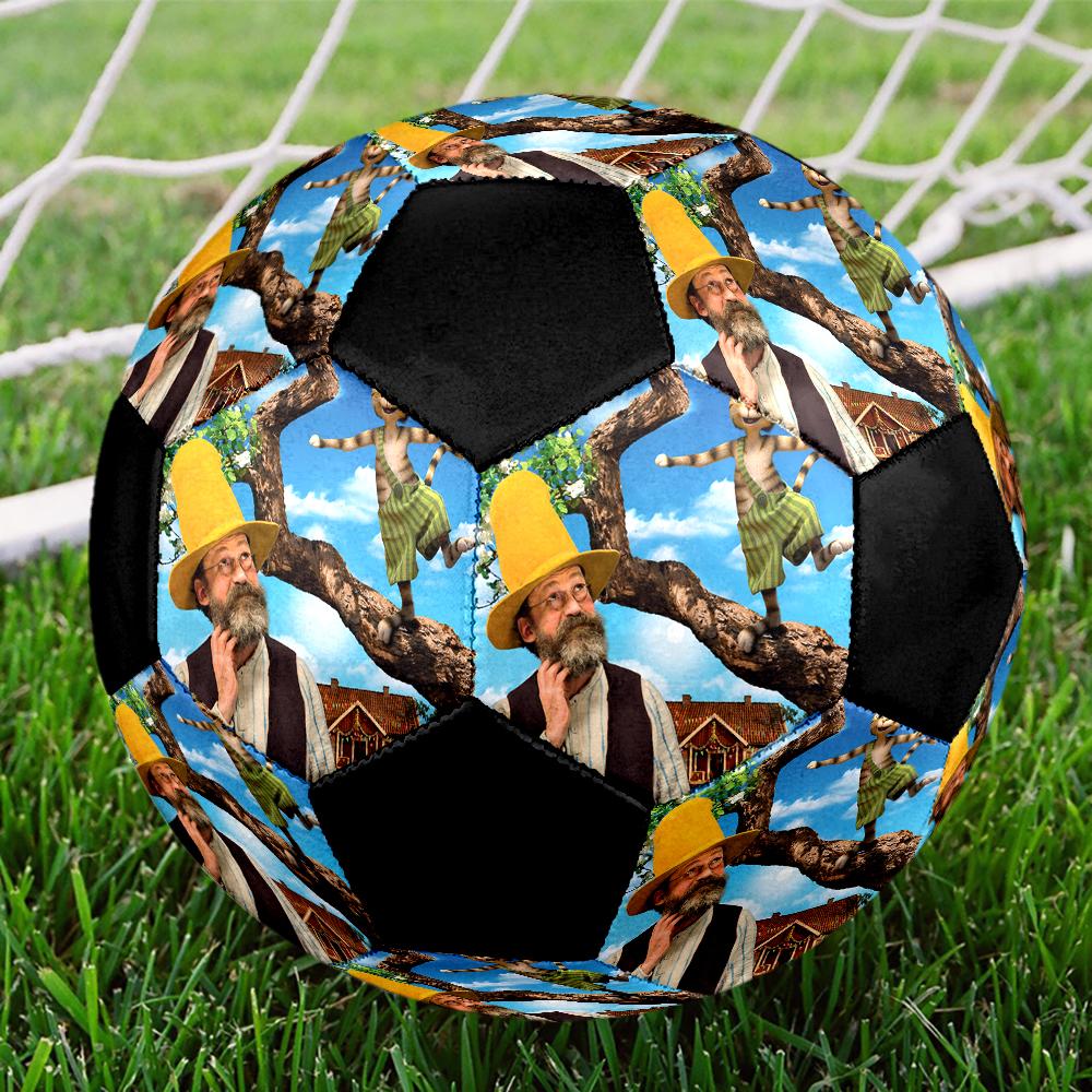 Pettson and Findus Theme Size 5 Soccer Ball, Suitable for Both Indoor and Outdoor Matches, a Gift Suitable for Everyone.