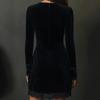 Retro Velvet Embroidered Lace Trim V-neck Long Sleeve Mini Dress (2025 Collection)