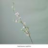 Artificial Silk Snow Willow Flower Arrangement for Indoor Decoration