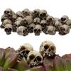 20pcs Mini Skulls Decoration Fake Skeleton Heads Halloween Garden Skull Heads Reusable Skulls Crafts Trick Toy Skeleton Ornament