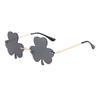 JYL TS Sunglasses Women UV Protection Round Face LXQ864