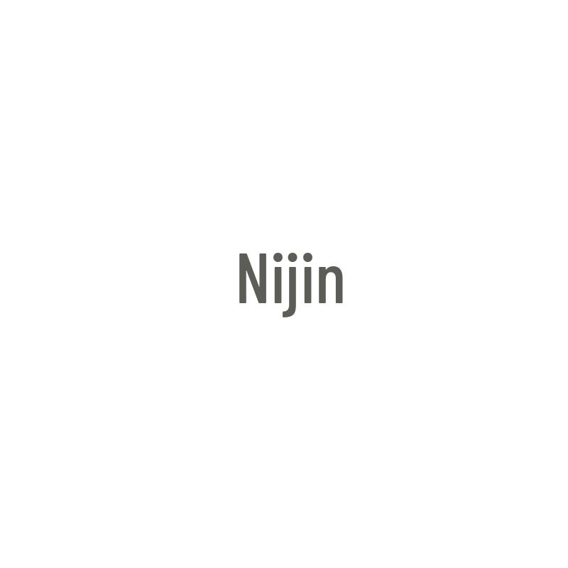 Nijing Engine Thermostat Assembly