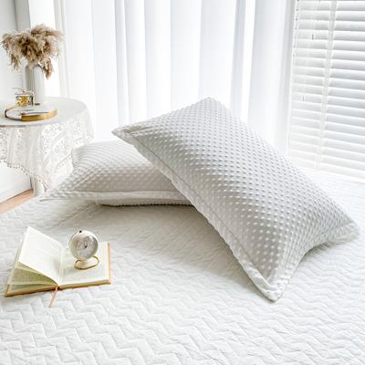 Soft Pillowcase Warm Pillow Cover Rectangle Cushion Cover 50x75cm White Pillow Case Capa De Almofada 2pcs Velvet Pillowslip
