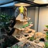 Simulation Leaves Reptile Christmas Tree Climbing Frame Snake Climbing Rest Stand  Gecko Habitat