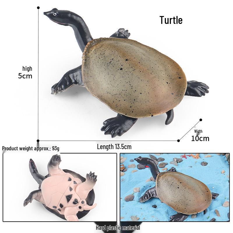Children's Cognitive Marine Animal Models: Sea Turtle and Tortoise Toys