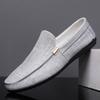 2026 New Fashionable Business Canvas Shoes High-quality Men's Cloth Shoes Breathable Soft Bottom Casual Shoes Zapatos De Hombre