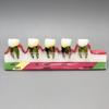 Dental Periodontal Model for Tooth Caries and Doctor-Patient Communication Display