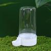 Chicken Trough Small Automatic Waterer Quail Feed Feeder Rutin Chicken Trough Chicken Automatic Feeder