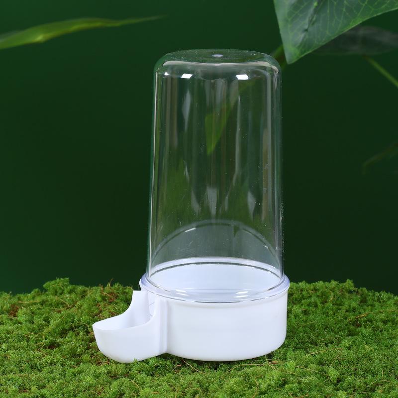 

Chicken Trough Small Automatic Waterer Quail Feed Feeder Rutin Chicken Trough Chicken Automatic Feeder 1Pcs