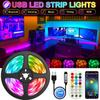 1-30M Светодиодная лента Огни Bluetooth LED RGB 5V USB RGB Огни Гибкая светодиодная лампа Лента Лента ТВ Настольный экран Подсветка Диодная лента