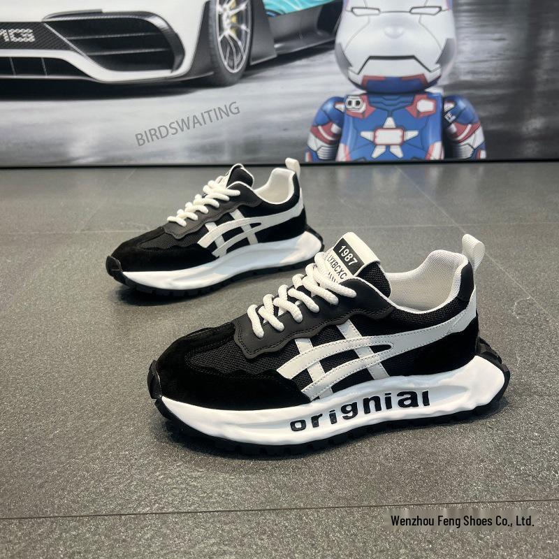 2025 Summer Men's Breathable Mesh Sport Shoes - Fashionable, Versatile, Thick-Soled Trendy Dad Sneakers