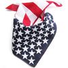 American Stars And Stripes USA Flag Bandana Hair Band