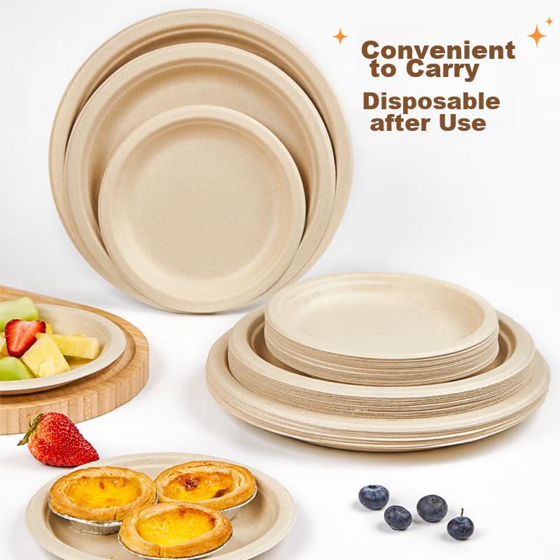 Sugarcane Pulp Paper Plates, Bowls, Disposable Tableware, Waterproof And Oil-Resistant, Natural Color, Round Plates, 10 Inches, Pack of 20