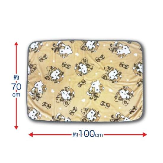 Hatayama Shoji Sanrio Flannel Hello 66203211 Throw, 70x100cm, Kitty, Approx. H70xW100cm,