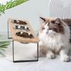 Elevated Cat Bowl Set - 3 Stainless Steel Bowls with 10° Tilted Iron Stand Raised Feeding & Watering Station for Cats