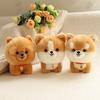 Cute Simulation Cute Pet Puppy Dog Akita Corgi Doll Plush Toy Shiba Inu Chow Doll Children's Rag Doll