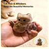 Cute Pet Fur Storage Refrigerator Magnet Transparent Acrylic Pet Cat Fur And Whiskers Memory Capsule Refrigerator Magnet