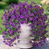 Ghirlandă Artificială de Eucalipt Violet pentru Agățat pe Perete, Decorațiune pentru Casă și Grădină