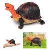 Simulation Turtle Model Realistic Tortoise Figurine Miniature Animal Educational Toy Home Office Desktop Decoration Ornament