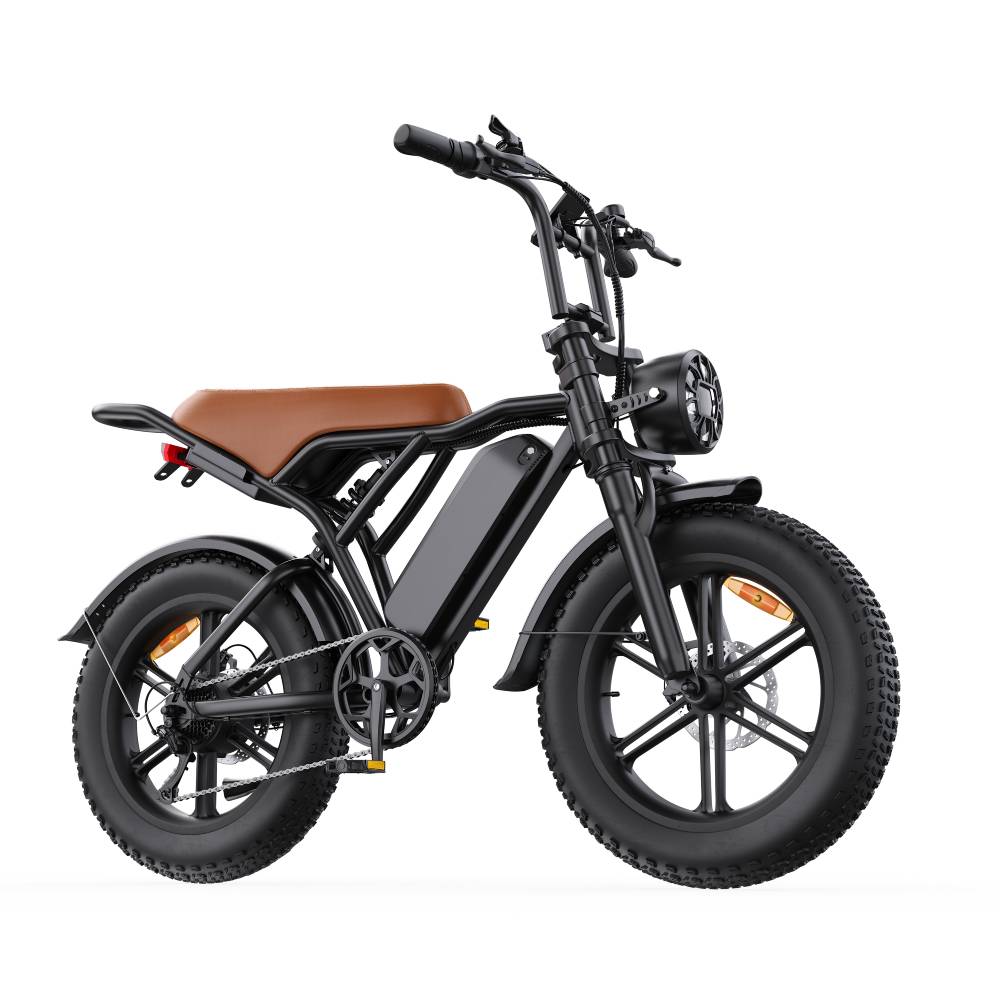 Toofly G20 Adult Electric Bicycle 250W Motor 48V15.6AH Battery 20*4 Fat All-Terrain Tires Electric Bicycle