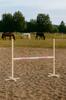 Skoková překážka pro Hobby Horse 120 cm, Světle růžová tyč