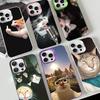 Pet Cat Funny Memes Phone Case For IPhone 16 15 14 13 12 11 Pro Max X XR XSMAX 8 7 Plus Matte Shockproof Back Cover