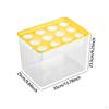 Home Hydroponics Growing Box for Microgreens Development