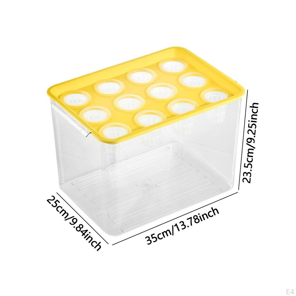 Home Hydroponics Growing Box for Microgreens Development