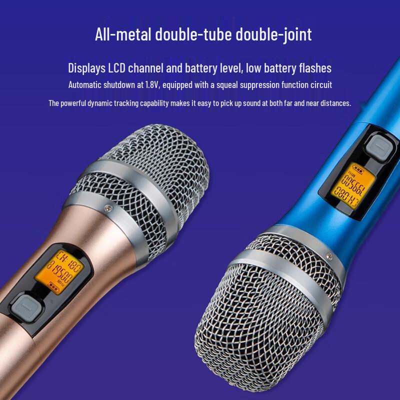 Weishu WSKTV-202 Professional Dual Handheld Wireless Microphone System (CN Version)